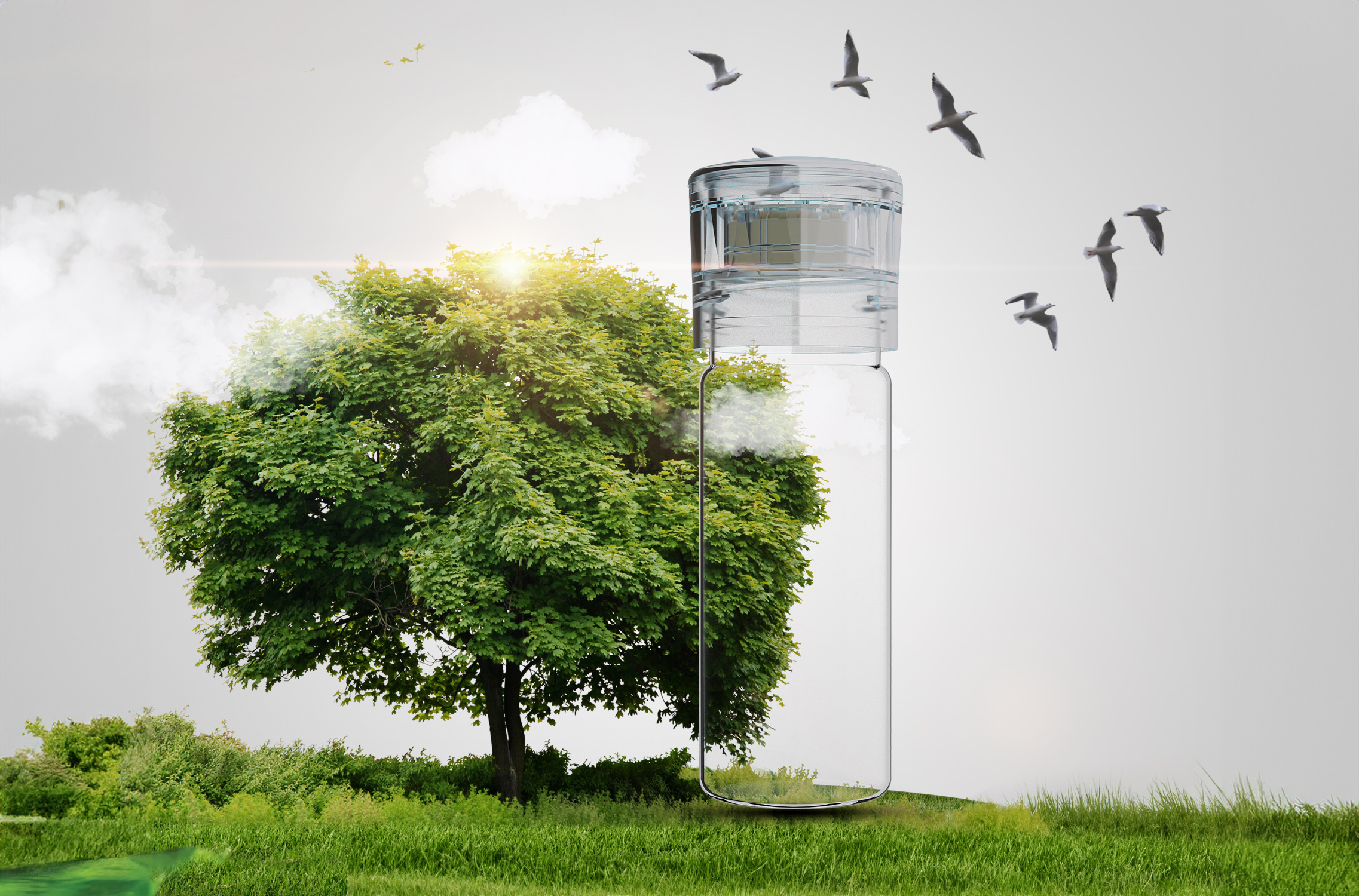 PET Bottles and Mills, rPET is now used.